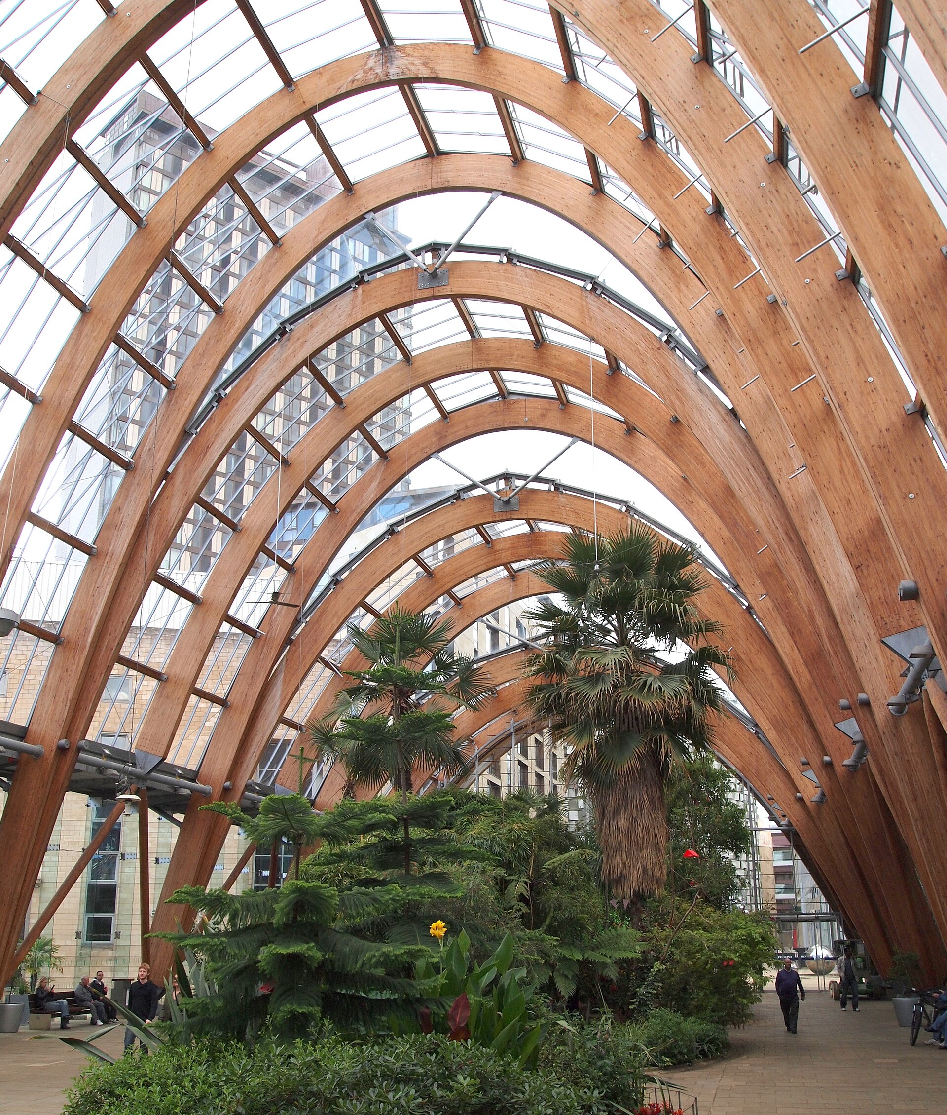 Sheffield Winter Garden